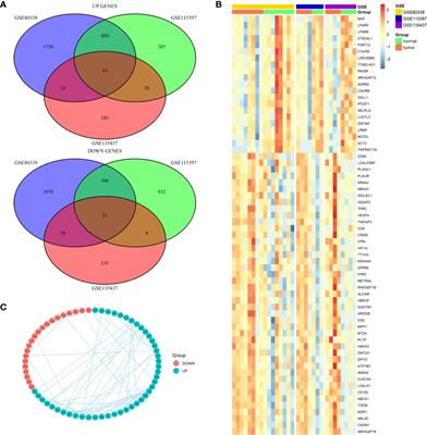 Six Immune Associated Genes Construct Prognostic Model Evaluate Low-Grade Glioma